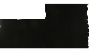 Absolute Black Granite