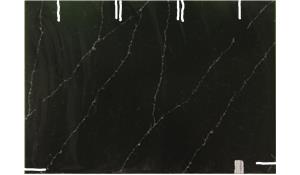 Blackstone Calacatta Pride Quartz
