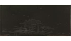 Coastal Grey Pental Quartz