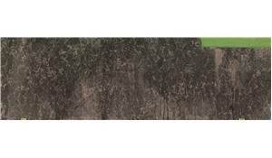 Coastal Grey Caesarstone