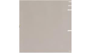 Lorraine Wilsonart Quartz