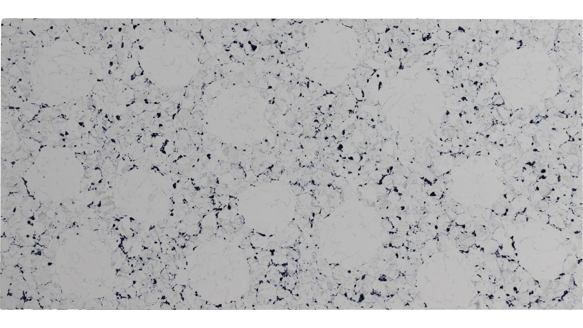 Conimicut Calacatta Pride Quartz Slabs