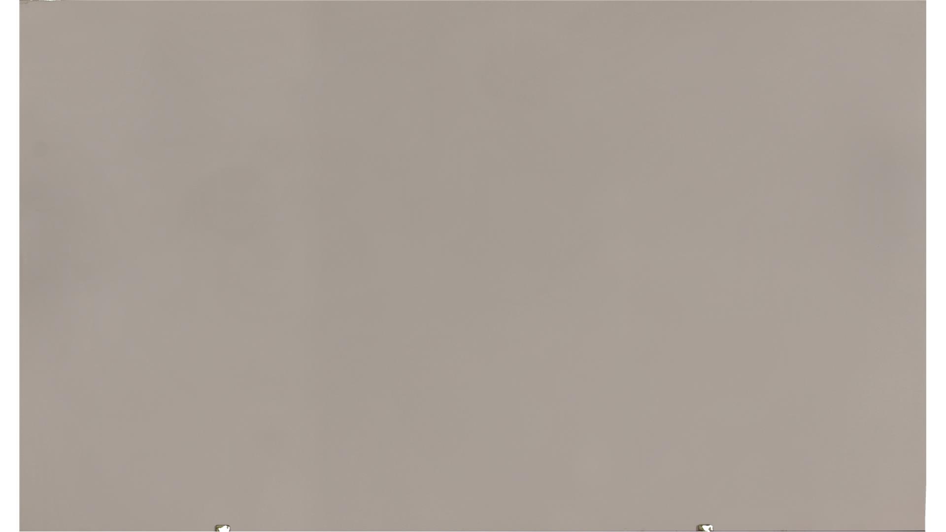 Premium Plus White Q Quartz (MSI) Slabs