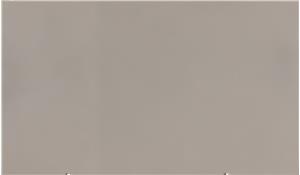 Premium Plus White Q Quartz (MSI)