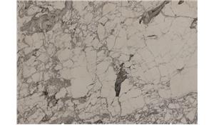 Statuario Corchia (H) Marble