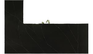 Blackstone Calacatta Pride Quartz