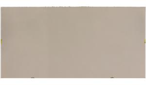 Organic White Caesarstone