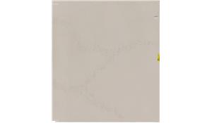 Calacatta Nuvo Caesarstone