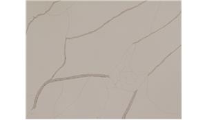 New Calacatta Laza Gold Q Quartz (MSI)
