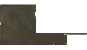 raindream Caesarstone