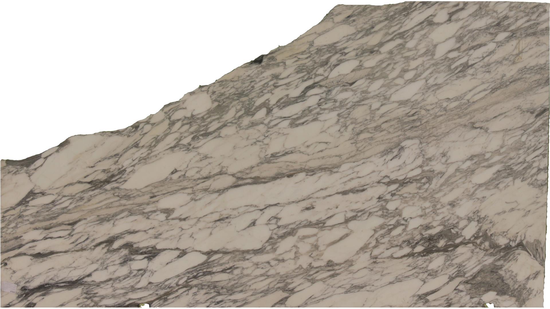 Arabescatto Matte Granite Slabs
