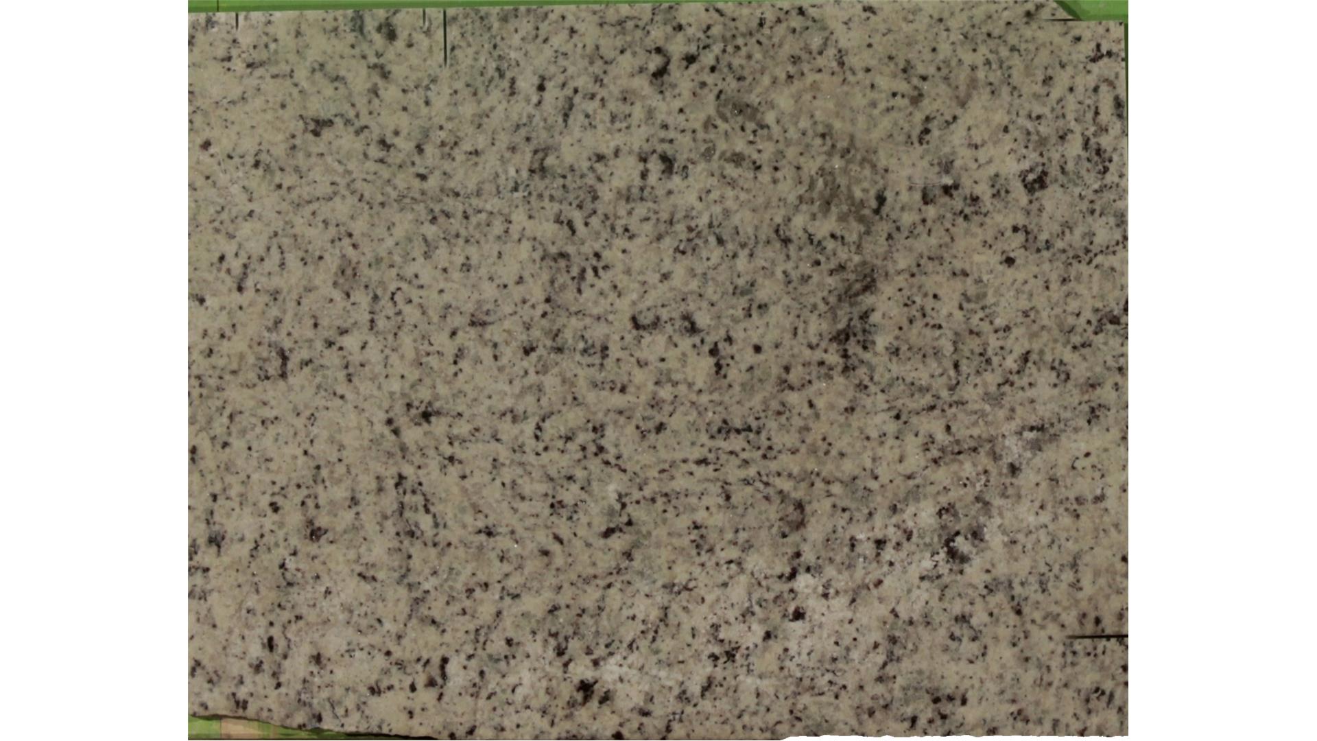 White Giallo Ornamental Granite Slabs