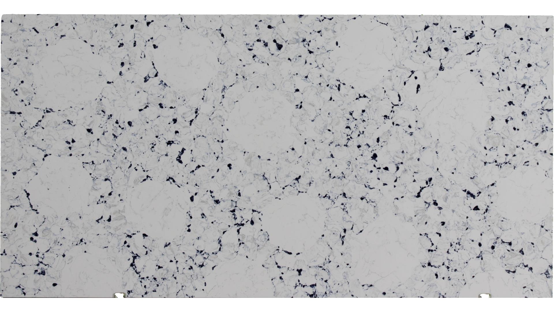 Conimicut Calacatta Pride Quartz Slabs