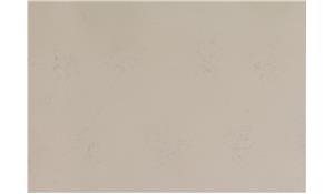 Carrara Marmi Q Quartz (MSI)