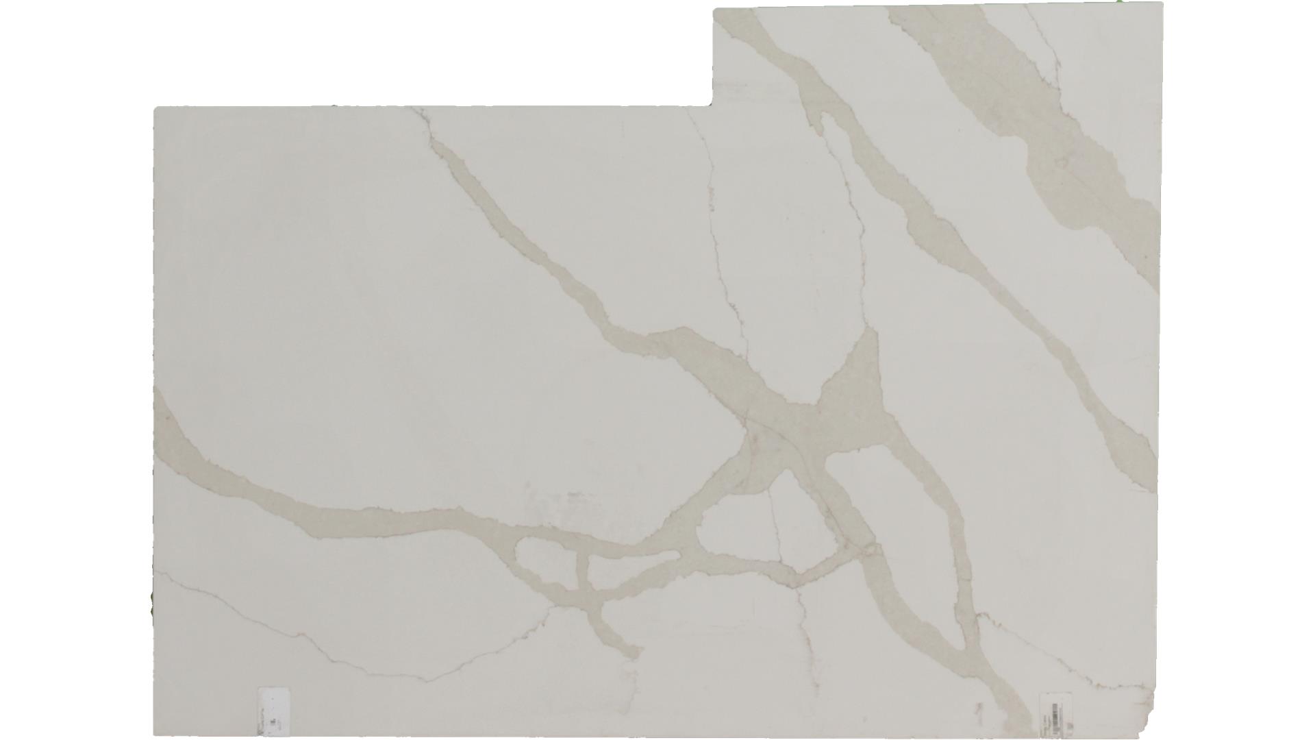 Stella Caldia Pental Quartz Slabs