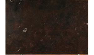 Etruscan Fossil Granite