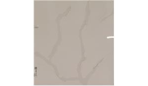 Calacatta Sol LG Viatera