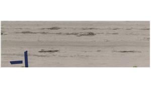 Fantasy White Granite