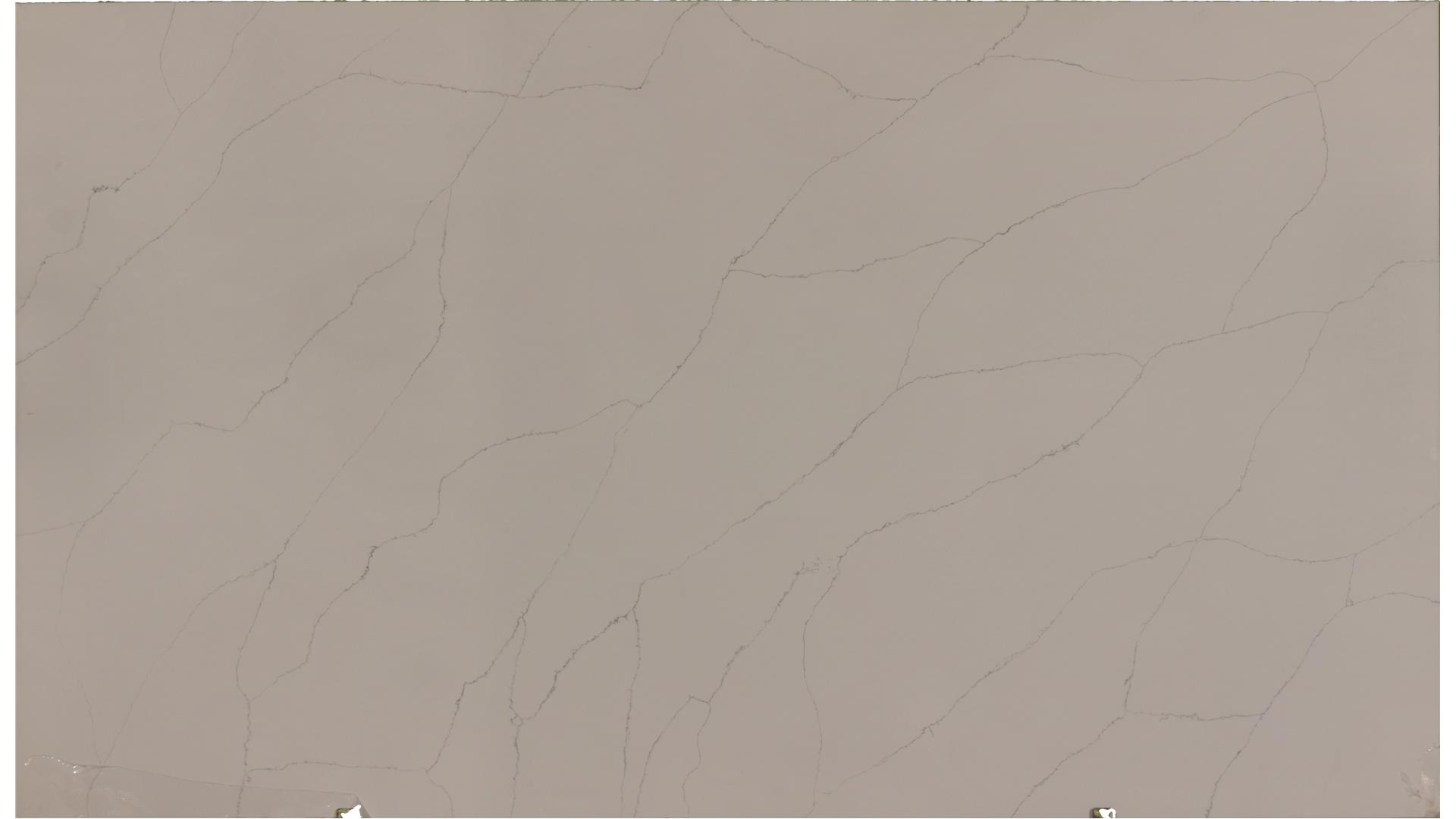 Calacatta Sienna Grey Cosmos Quartz Slabs