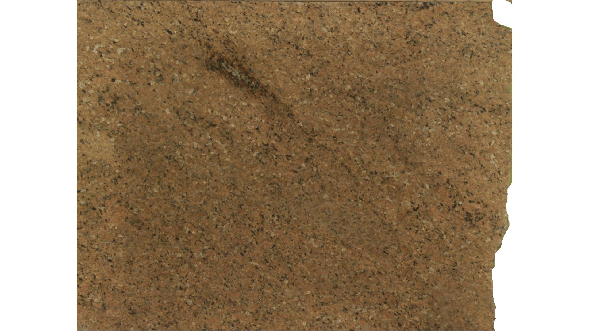 African Beige Granite Slabs