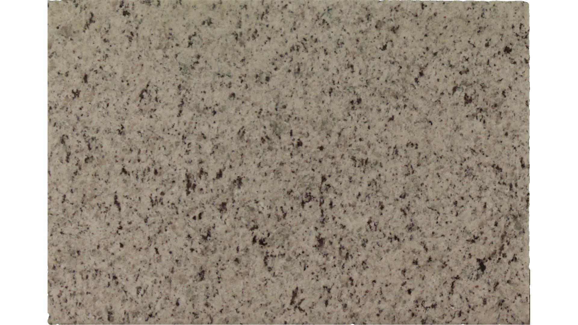 White Giallo Ornamental Granite Slabs