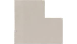 Arctic White Q Quartz (MSI)