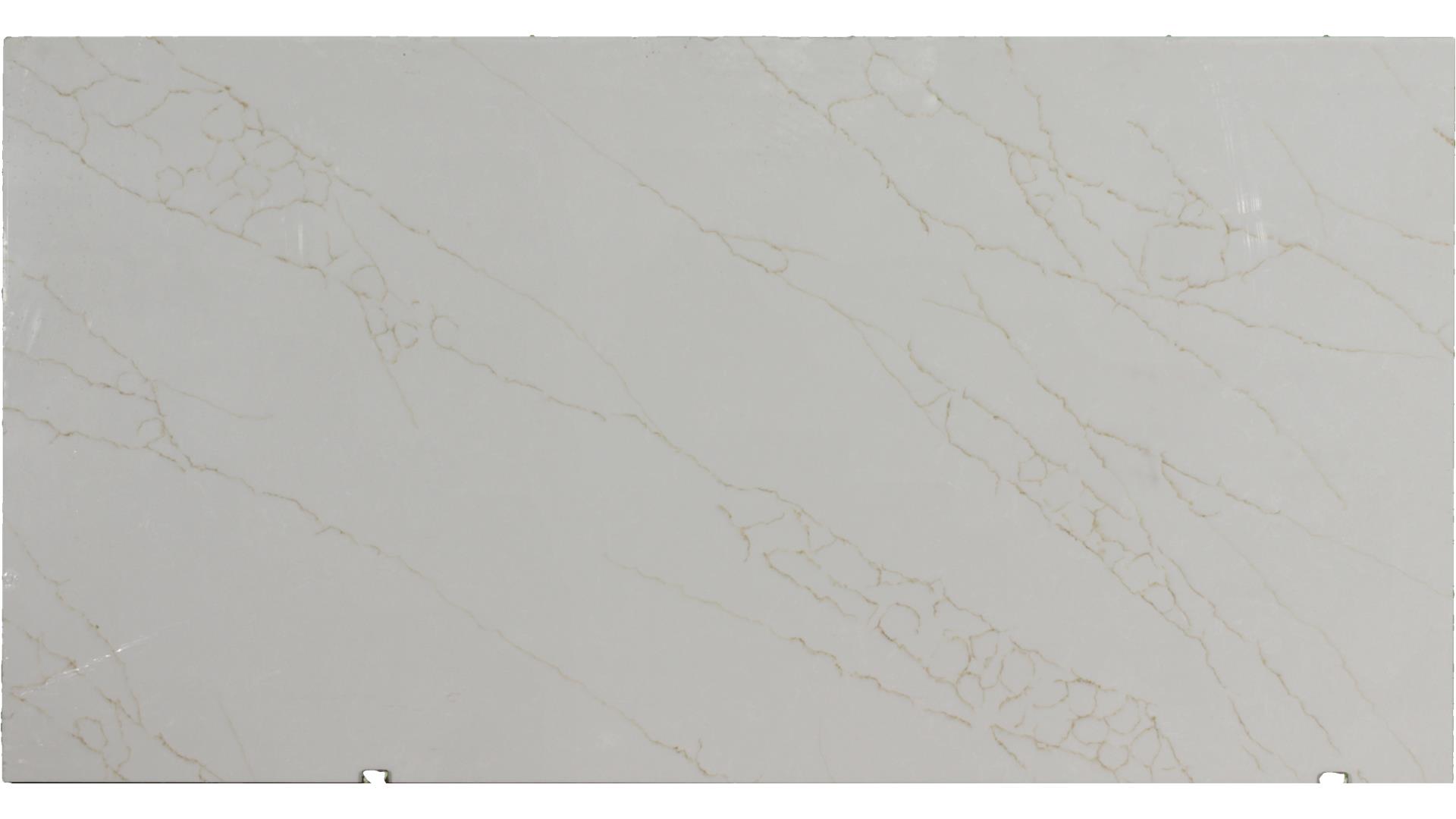 Bonnet Shores  Pride Quartz Slabs