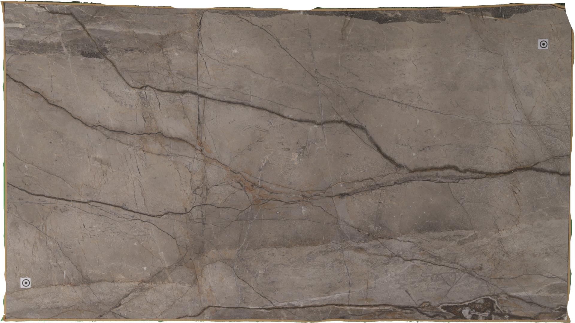 Silver Roots (Honed) (S/O) Marble Slabs
