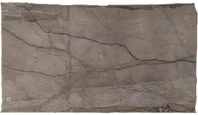 Silver Roots (Honed) (S/O) Marble