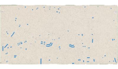 Carrara Blanco Envi Top