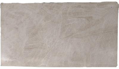 Taj Mahal (Honed) (S/O) Quartzite