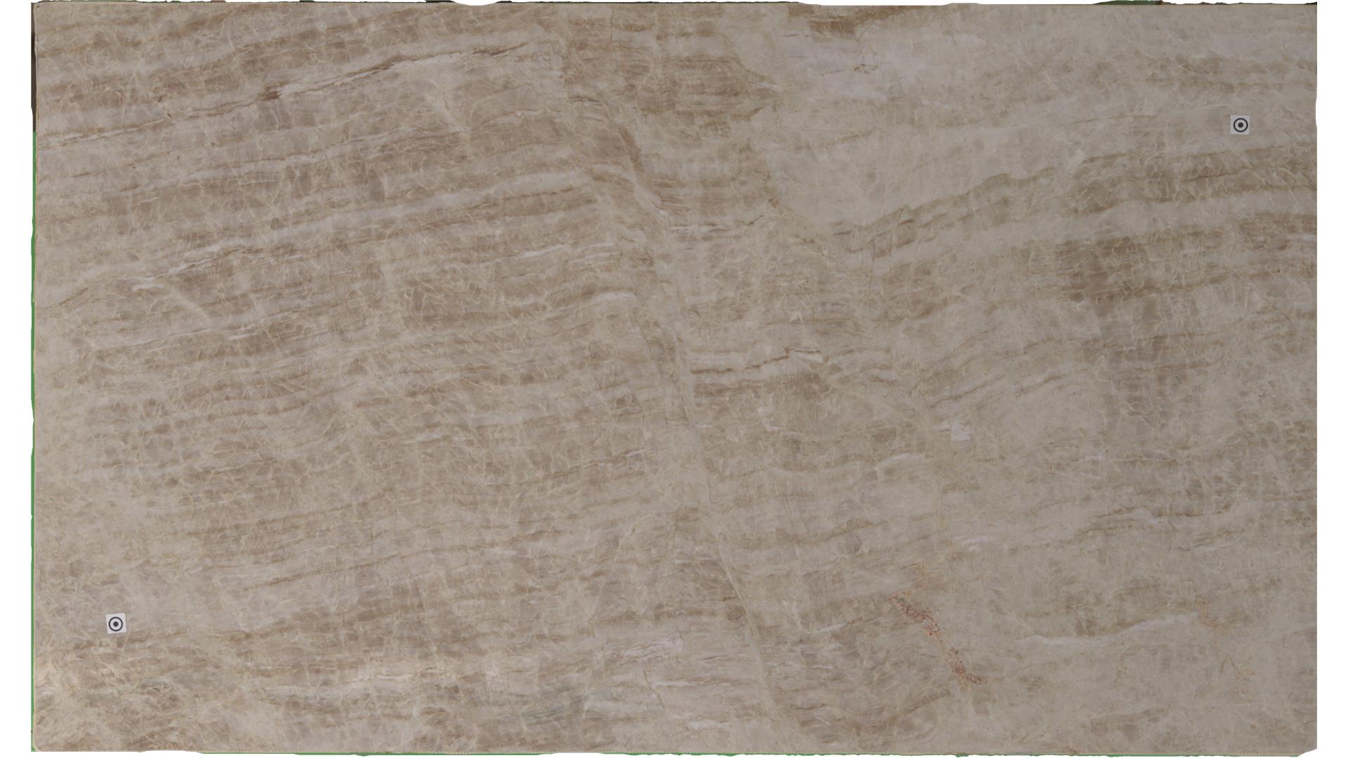 Taj Mahal (S/O) Quartzite Slabs