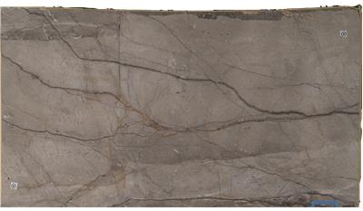 Silver Roots (Honed) (S/O) Marble
