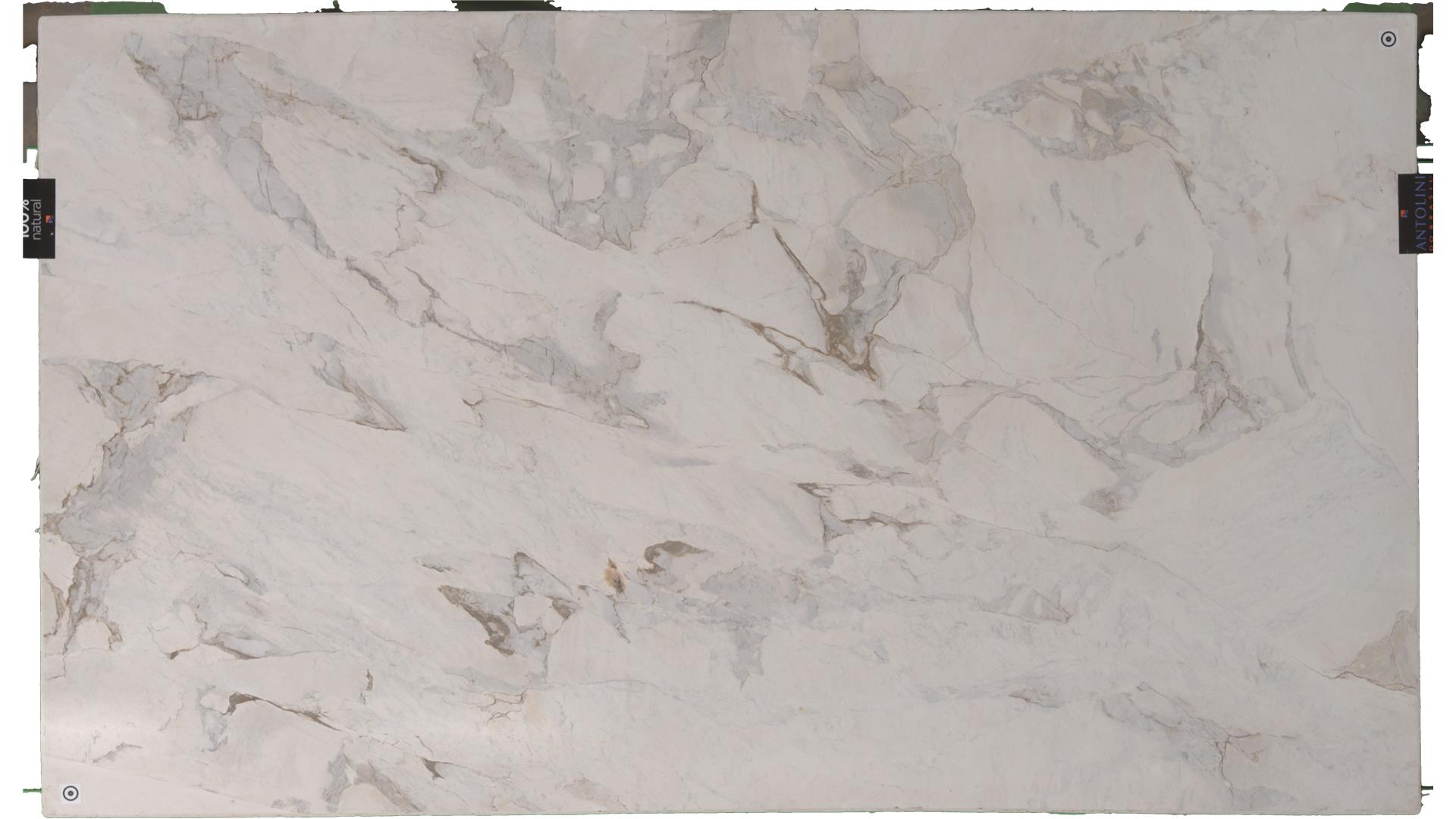 Calacatta Raffaello (Honed) (S/O) Specialty Stone Slabs