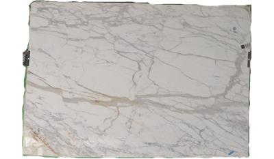 Calacatta Gold (Honed) (S/O) Marble