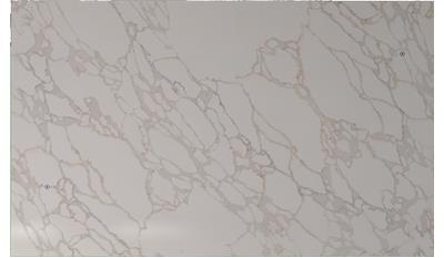 Rembrandt Envi Quartz