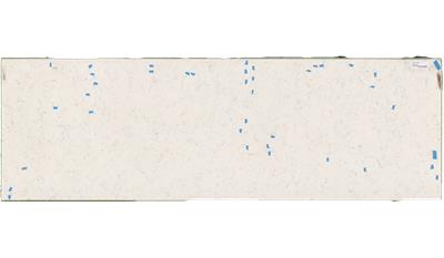 Blanca Statuarietto Q Quartz