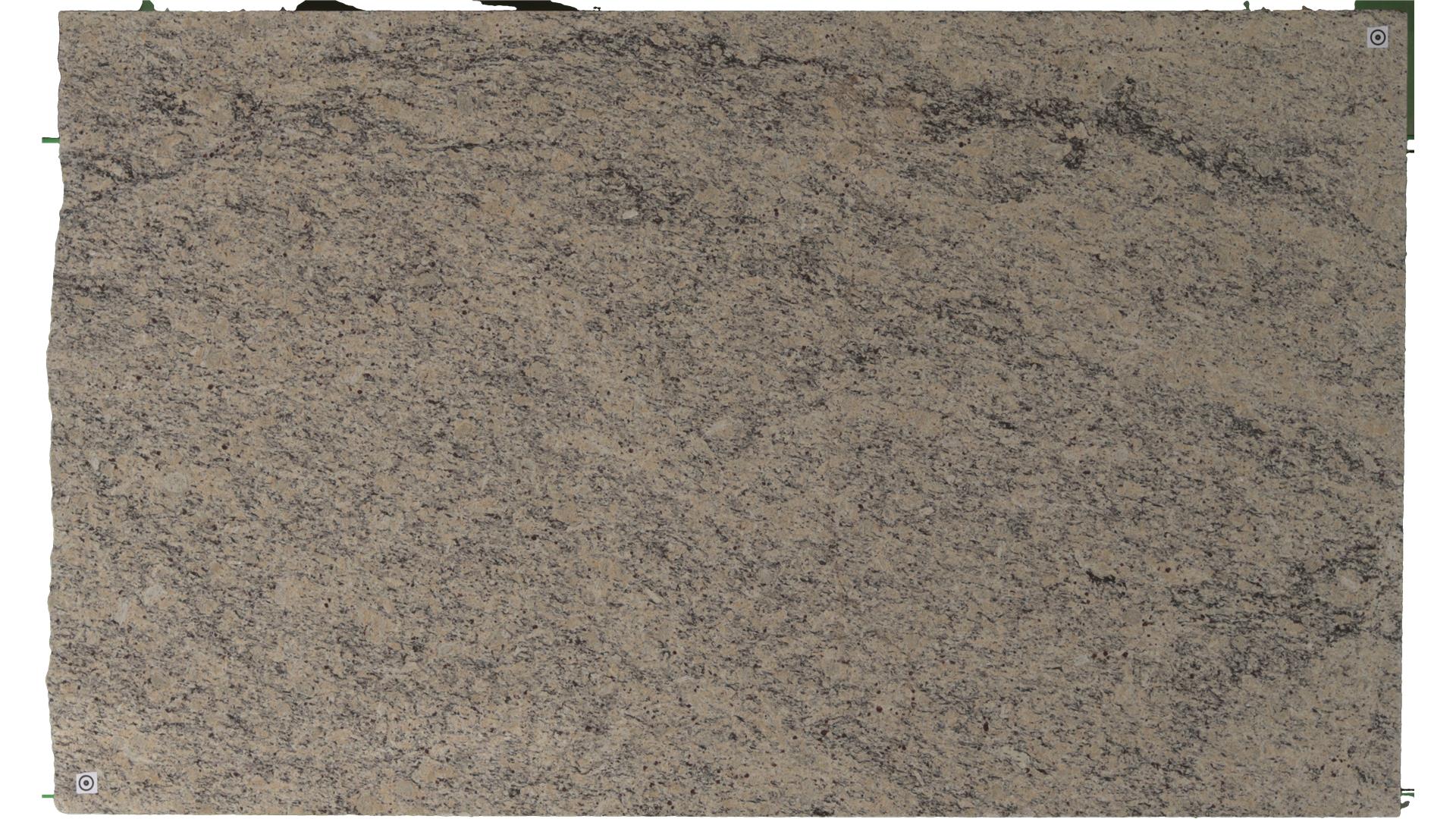 Santa Cecilia Light (S/O) Granite Slabs