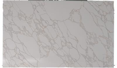 Rembrandt Envi Quartz