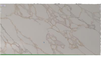 Rembrandt Envi Quartz