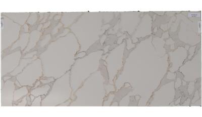 Rembrandt Envi Quartz