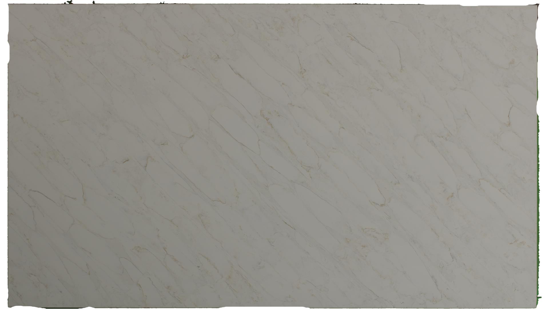 Calacatta Premata Q Quartz Slabs