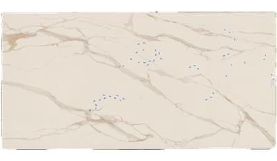 MN T and S - Calacatto Oro Polished Misc Stone