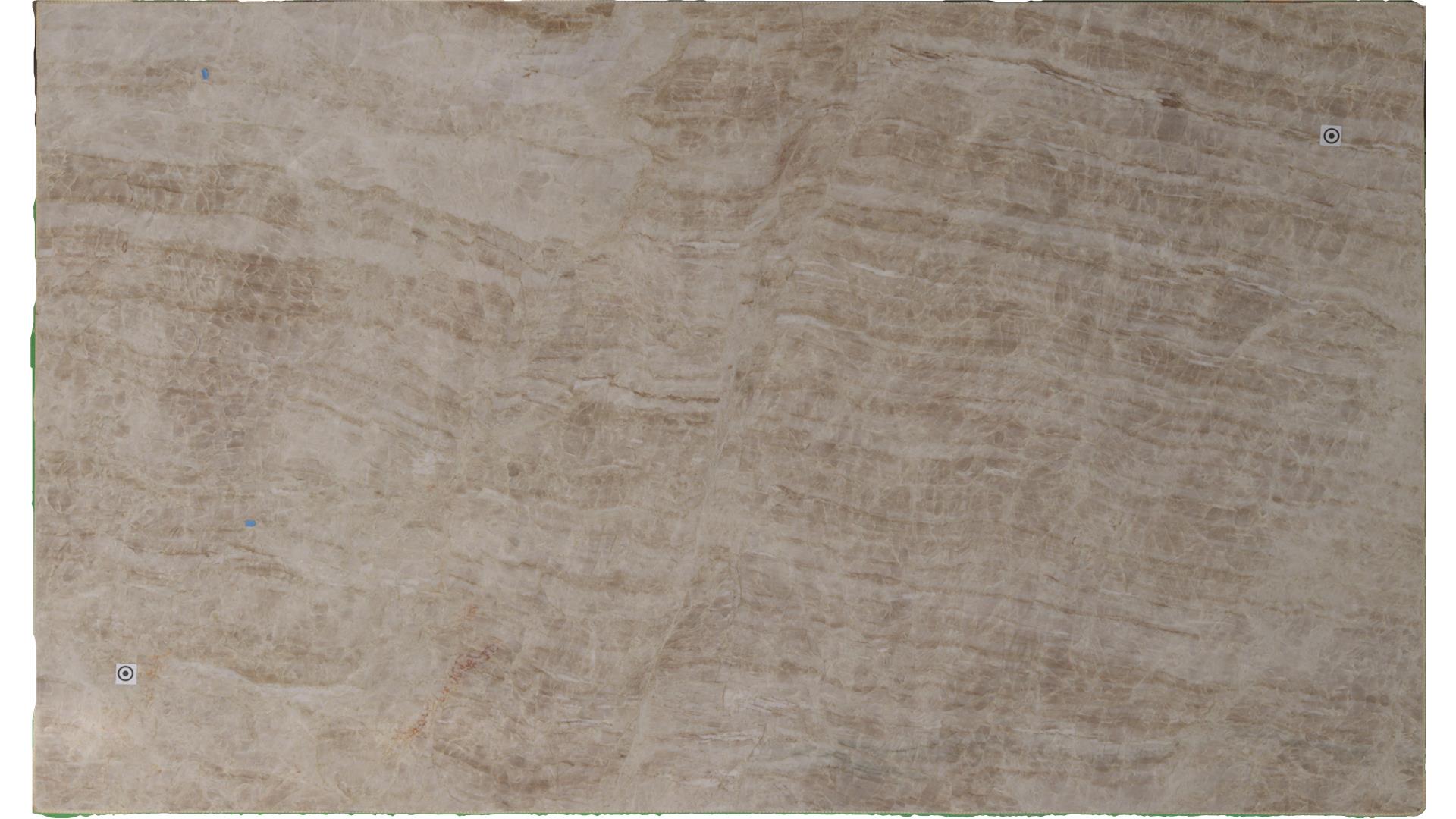Taj Mahal (S/O) Quartzite Slabs
