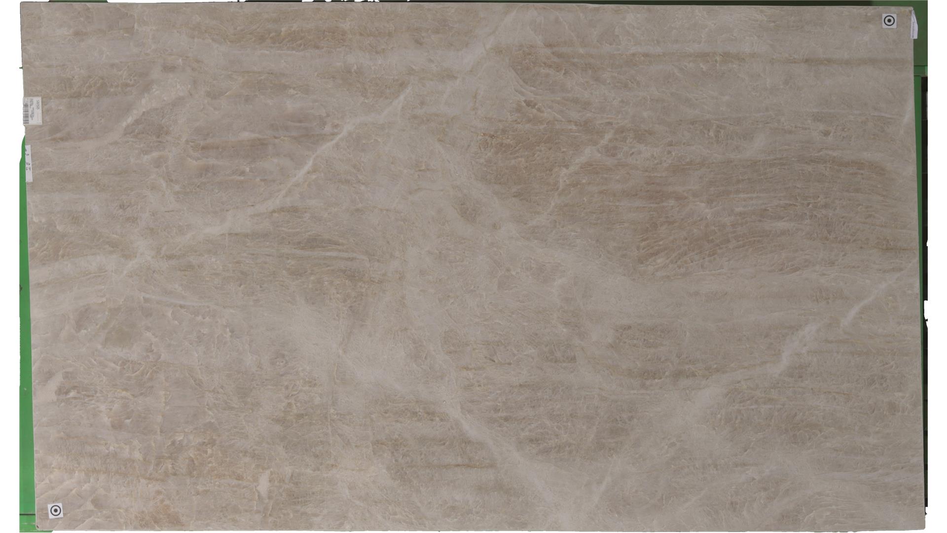 Taj Mahal (S/O) Sensa Quartzite Slabs