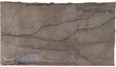 Silver Roots (Honed) (S/O) Marble
