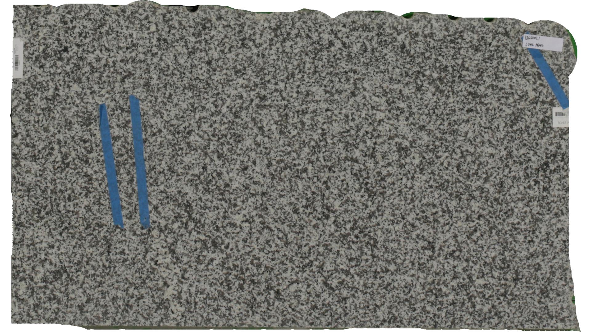 Luna Pearl (S/O) Granite Slabs
