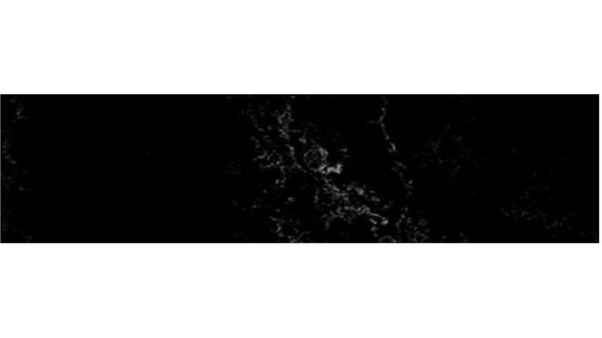 Empira Black 5101 Caesarstone Slabs