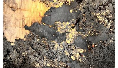 Patagonia Blue Polished RG Stone