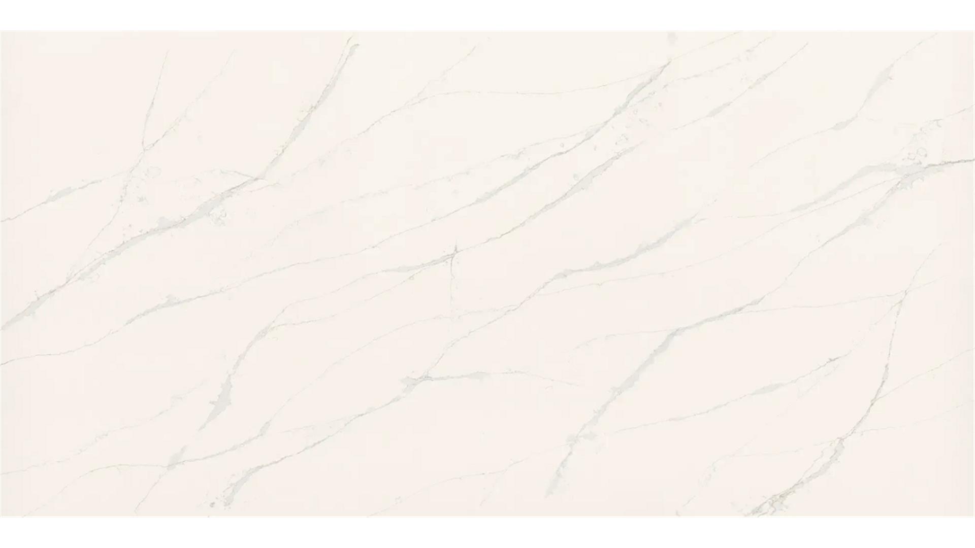 Calacatta Forte Q4087 Wilsonart Slabs
